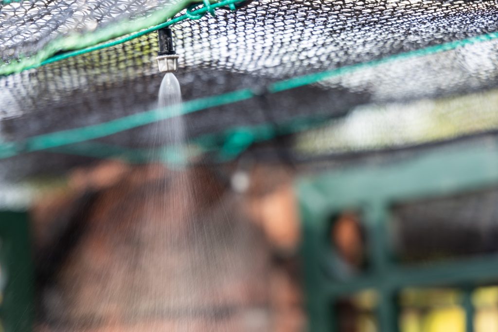 Close-up on sprinkler nozzle spraying water mist onto plants in garden